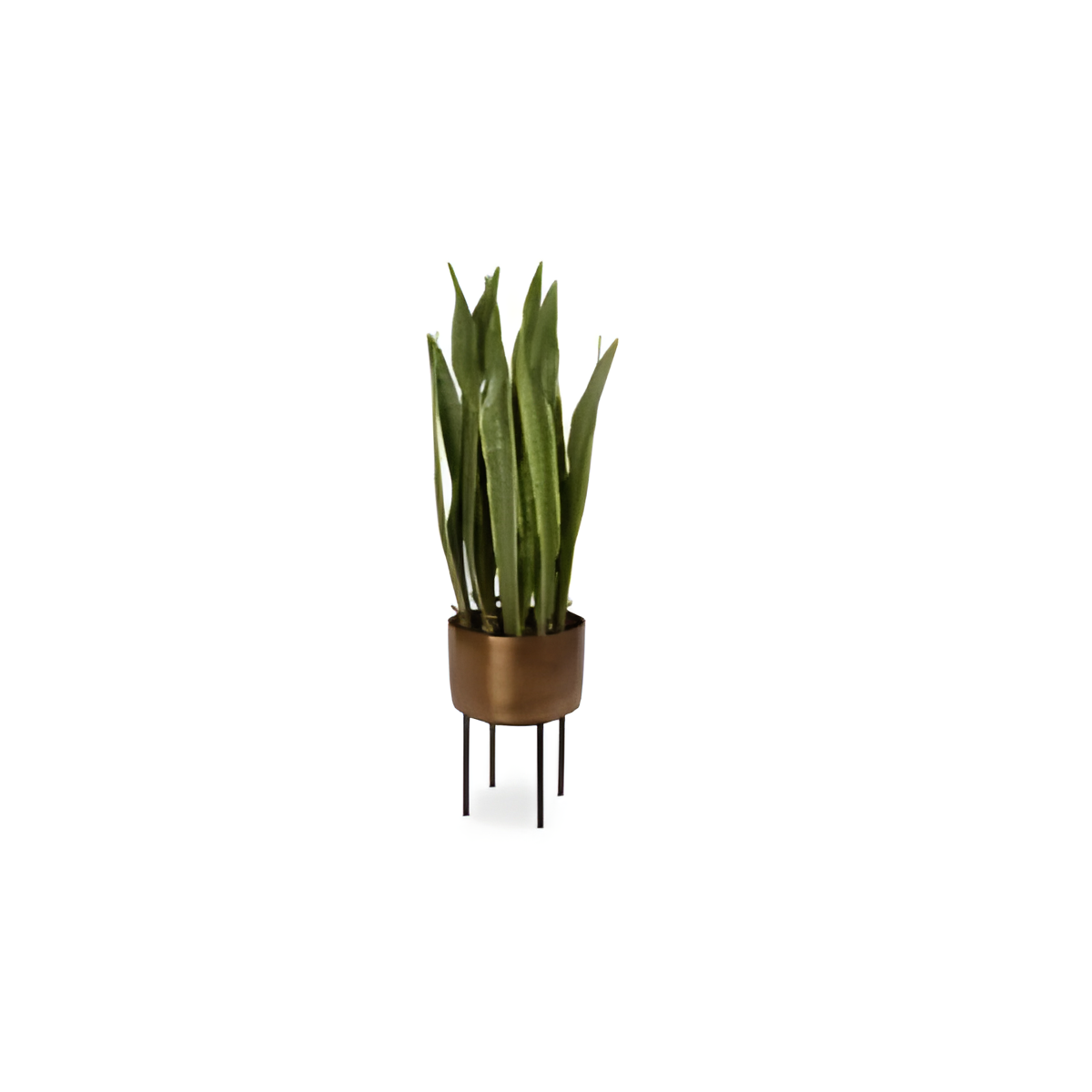 Fasita Planter