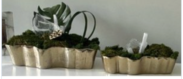 Gold 2 piece container Floral - Green