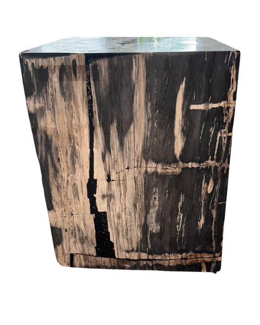 Petrified End Table - Dark Wood