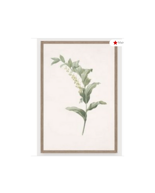 Botanical Art 1 - Sage