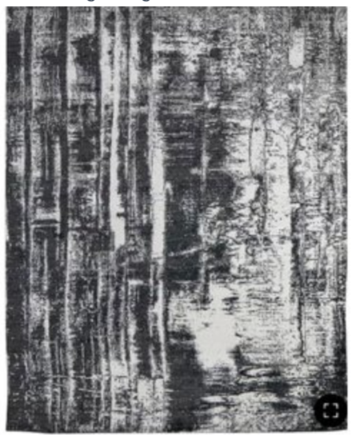 Rug - Black and White