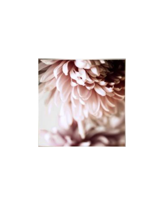 Flower Art 1 - Pink