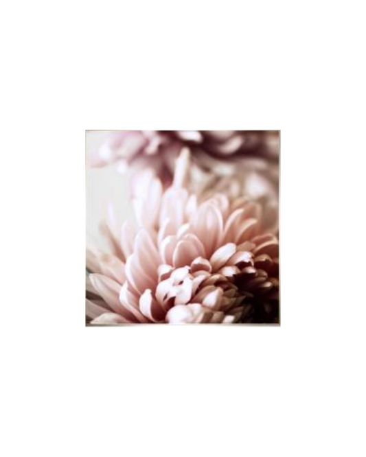 Flower Art 2 - Pink