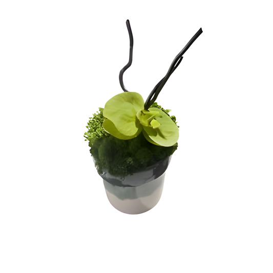 Green Floral Arrangement in Rounded Vessel