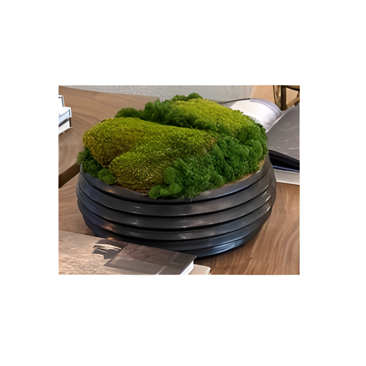 Moss Arrangement in Dark Ribbed Vessel