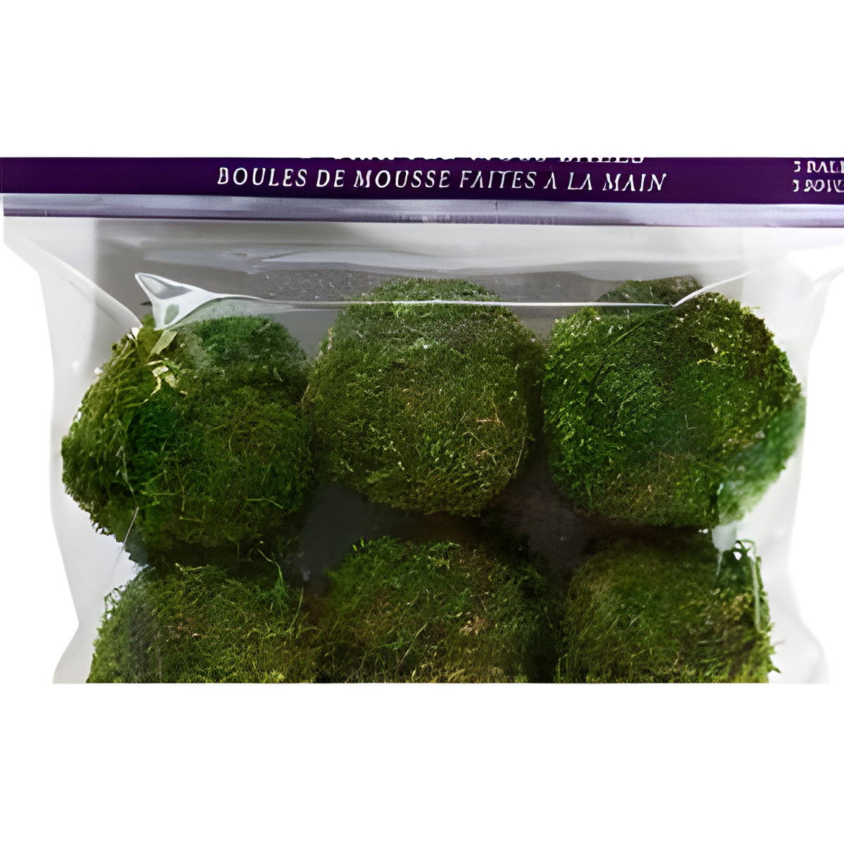 Green Decorative Moss