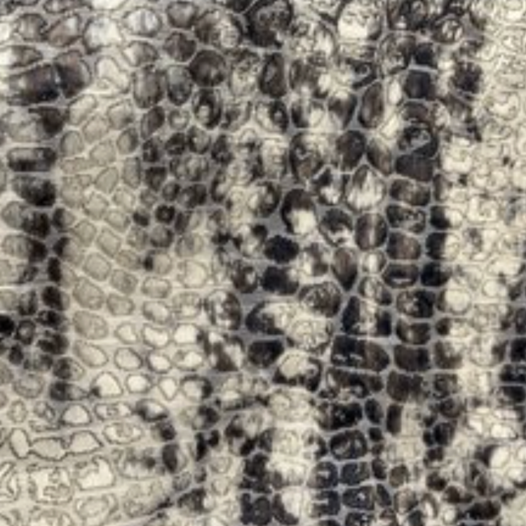 Multicolor Crocodile