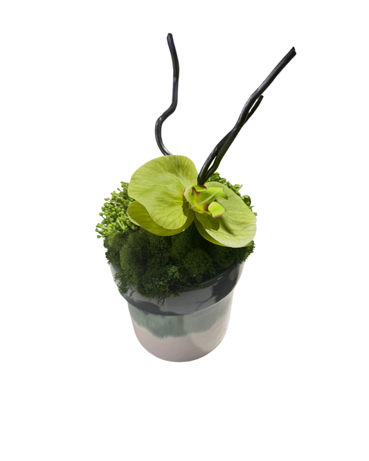 Custom Floral in Green Ceramic Container