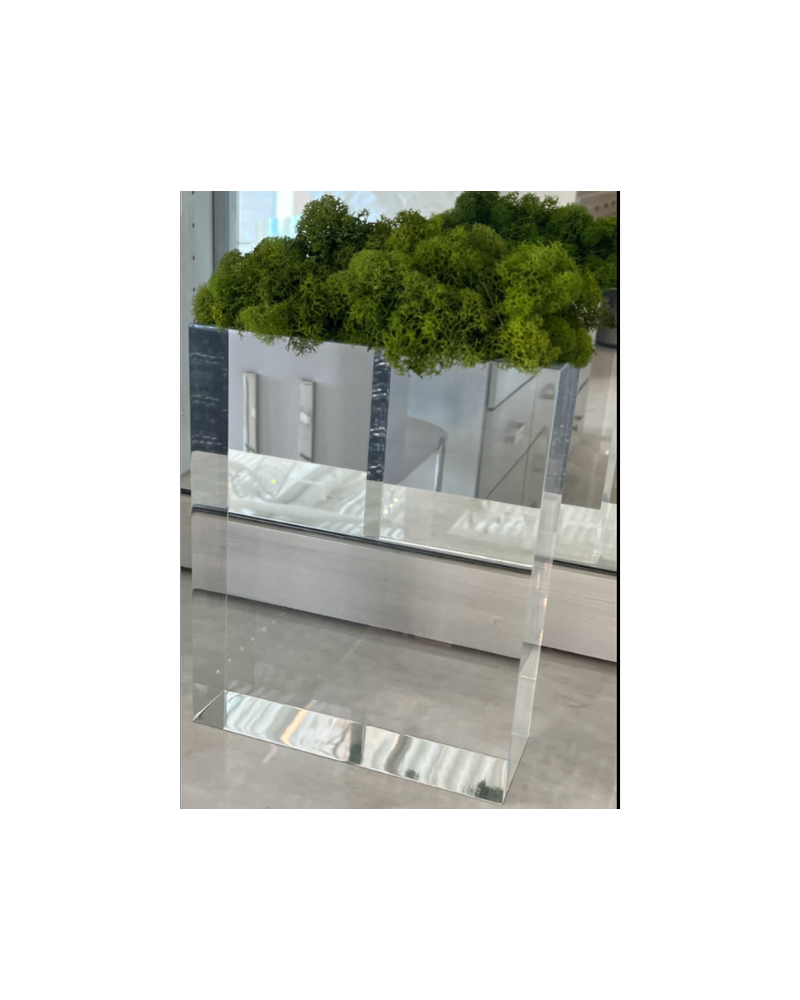 Moss on Acrylic Base